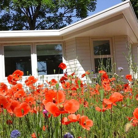 Het Findament Tiny House Villa Hilversum Bagian luar foto