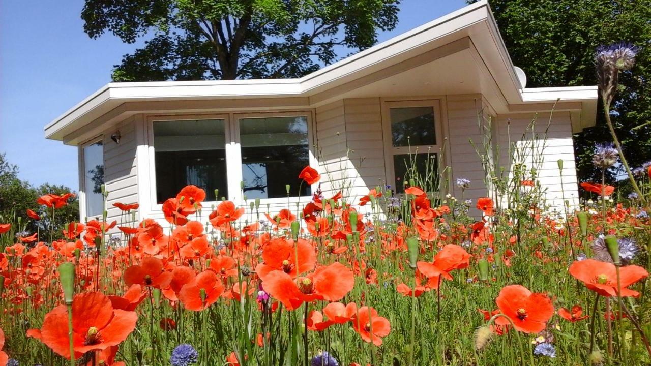 Het Findament Tiny House Villa Hilversum Bagian luar foto
