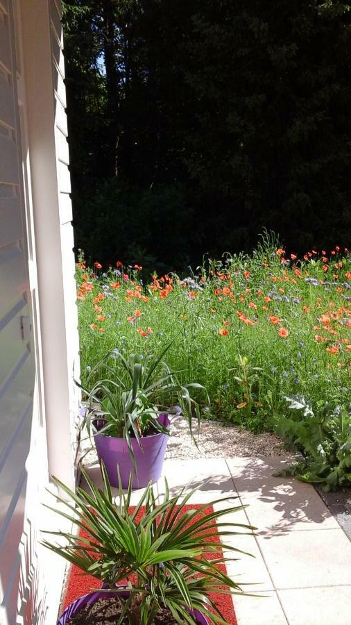 Het Findament Tiny House Villa Hilversum Bagian luar foto